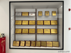 实行1+1+N专属团队办事模式